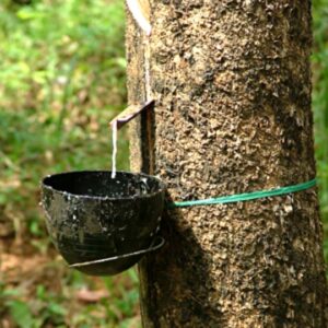 Agricultural Rubber